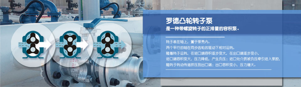 轉(zhuǎn)子泵廠(chǎng)家